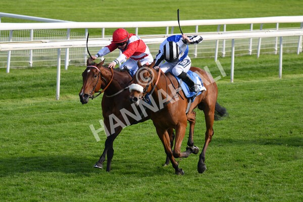 yr13052021r7-20 - Race 7 4.50pm Autohorn Stakes