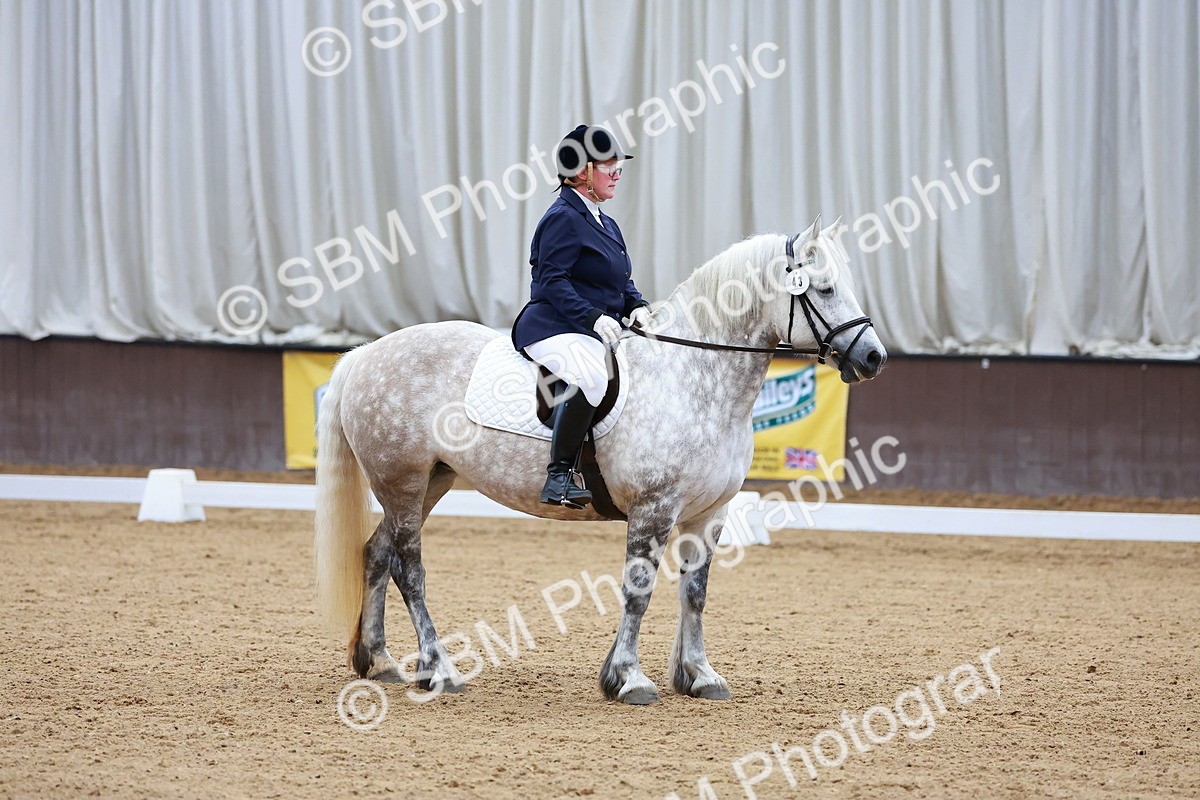 SBM_000291