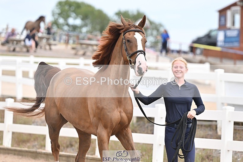 250716-161514-02524 - Trot Up 3.30 to 4.30