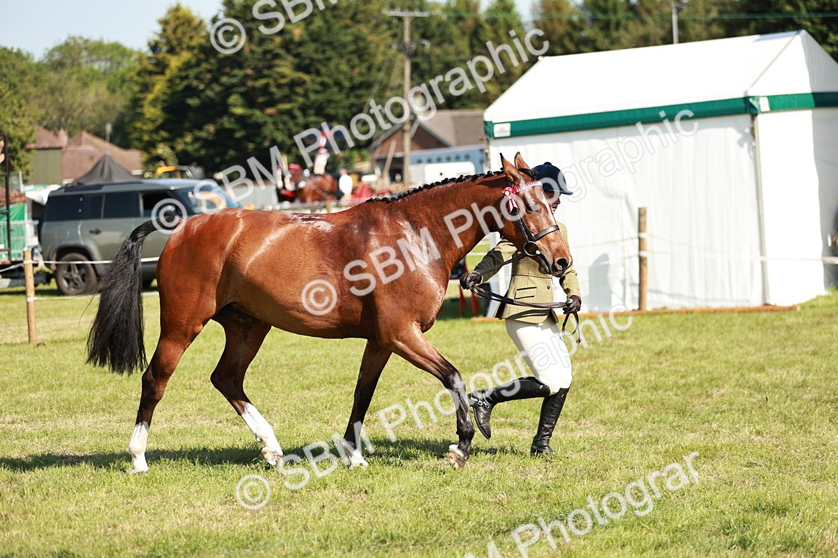 SBM_18935 - Class 114 - RIHS & SEIB Open Working Show Horse