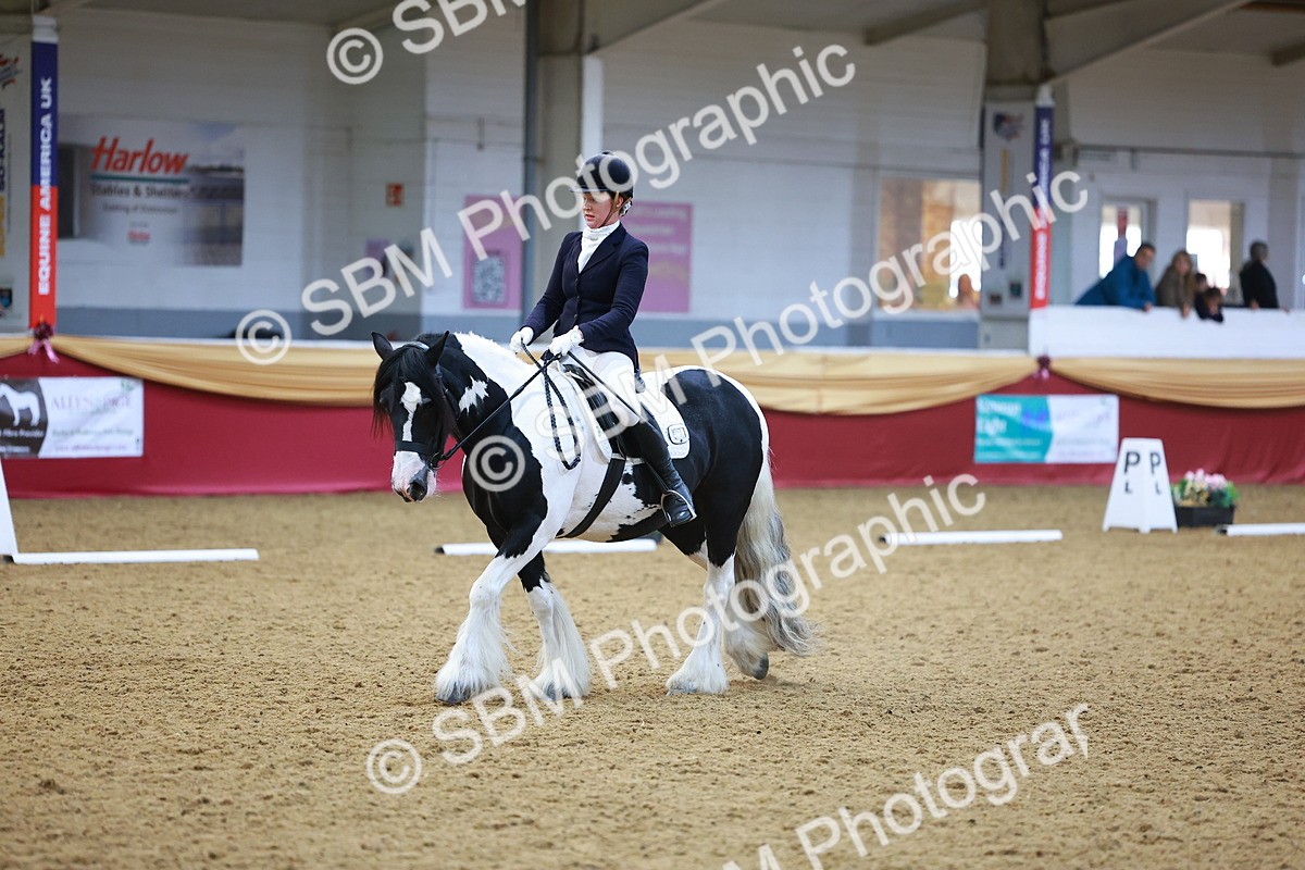 SBM_06495 - Class 61 - Dressage to Music