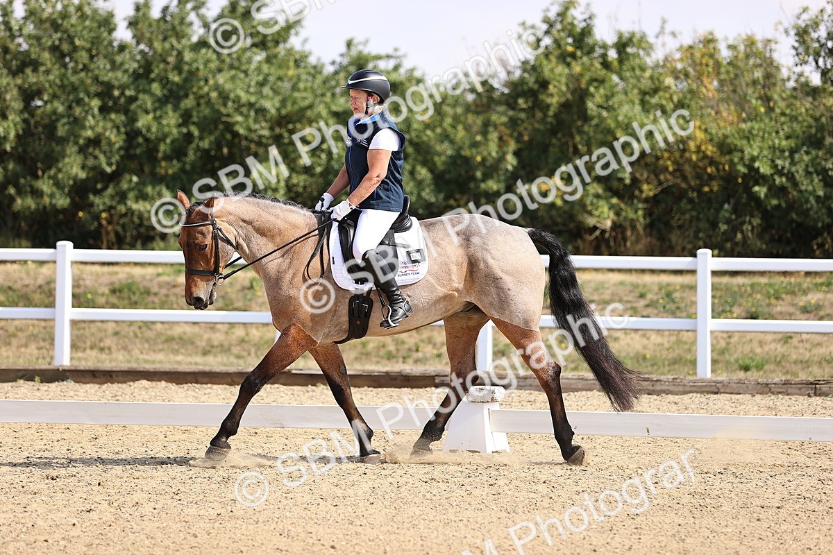 SBM_006521 - Intro 3 - 9.46-10.46