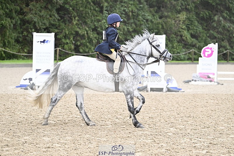 251005A-084656-02836 - Cls 02 GR 50cm