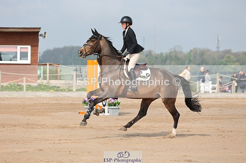 250424-102619-03010 - Cls 33 Young Horse 7yr old