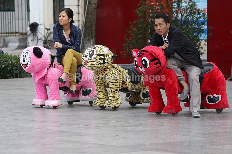 VIET_1032 - Vietnam 2017