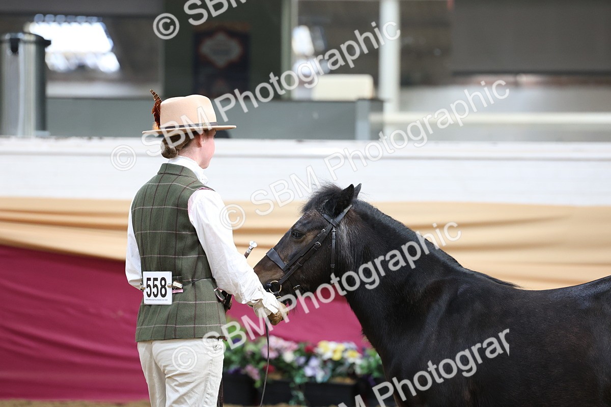 SBM_21887 - Class 901 - Supreme Final - IH  Diamond