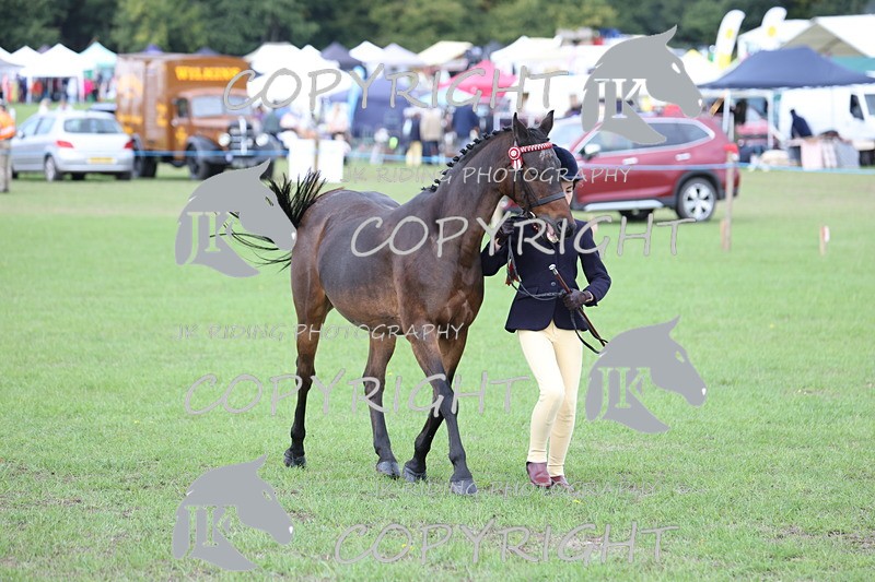APP_2635 - Class 9 Veterans in hand