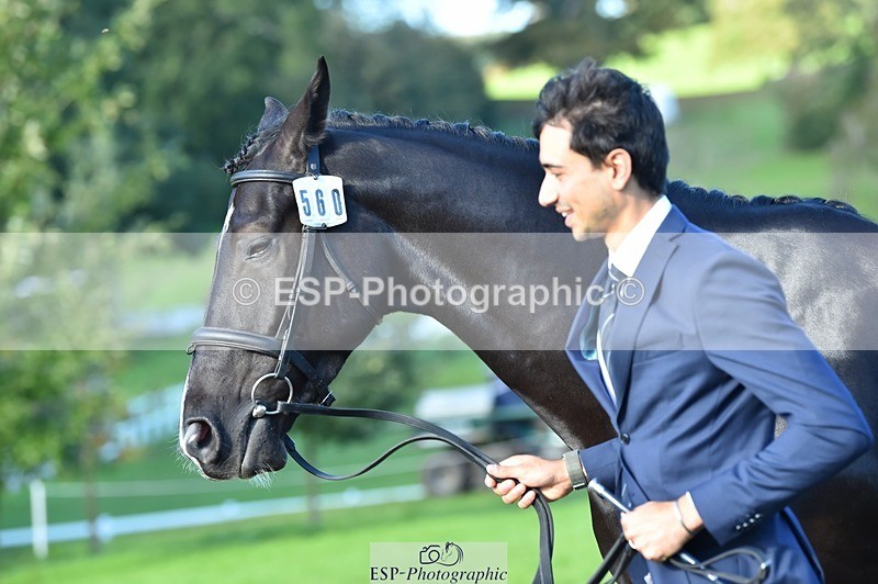 231022-111810-23879 - 560-TIMEPEICE.BLUE-Giorgio.Nardilli-TrotUp+SJ