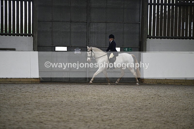 WJ7_3616 - Class 16 Ridden Coloured/ Odd Coloured