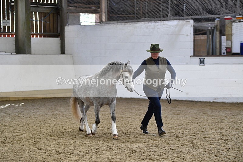 WJ5_5405 - Class 4 In hand M&M - small breeds