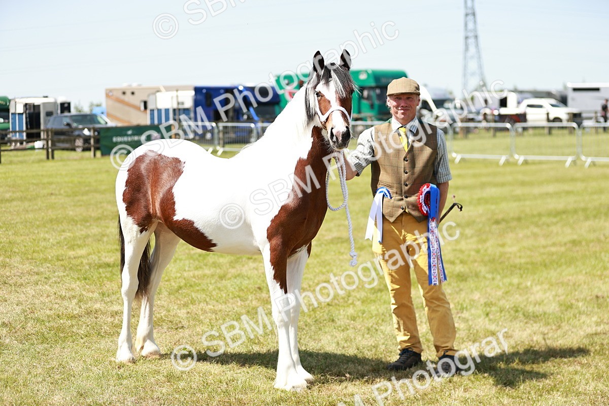 SBM_05540 - Class 41-45 - Riding Pony-Hunter Pony Breeding