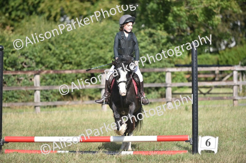 20260906-0941 - Class 7 - Absolute Novice Jumping 35cm