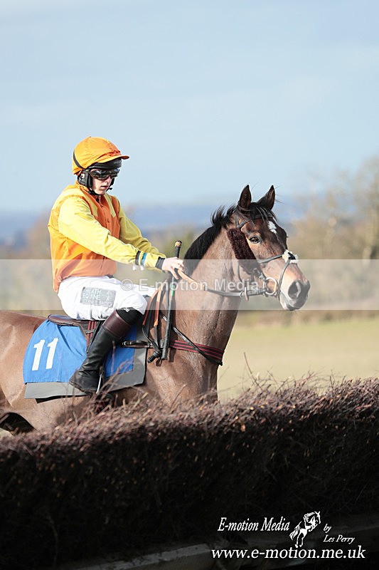 PtP 220225 795 - Kimblewick Point-to-Point  Kingston Blount 22/02/25