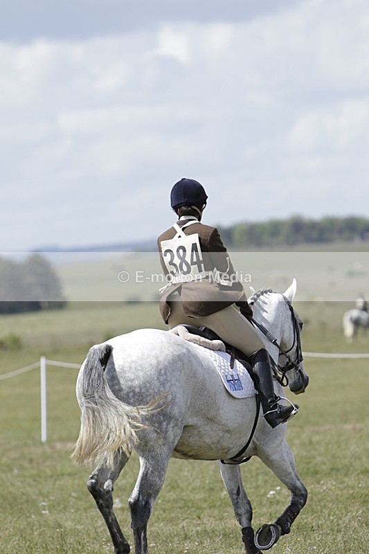 BVHT 140517 N-357 - Class 2 SJ Novice 14/05/17