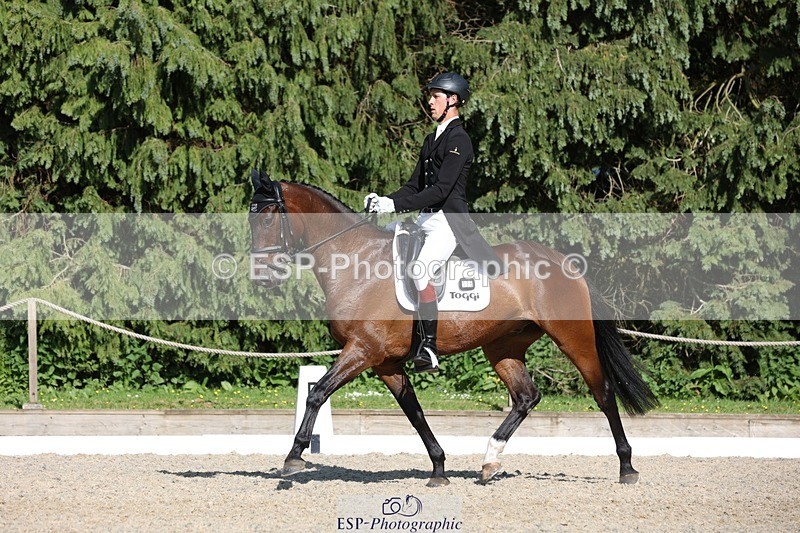 230526-171244-07924 - 176-TENZ-Will_Rawlin-WEDTrotUp+DR