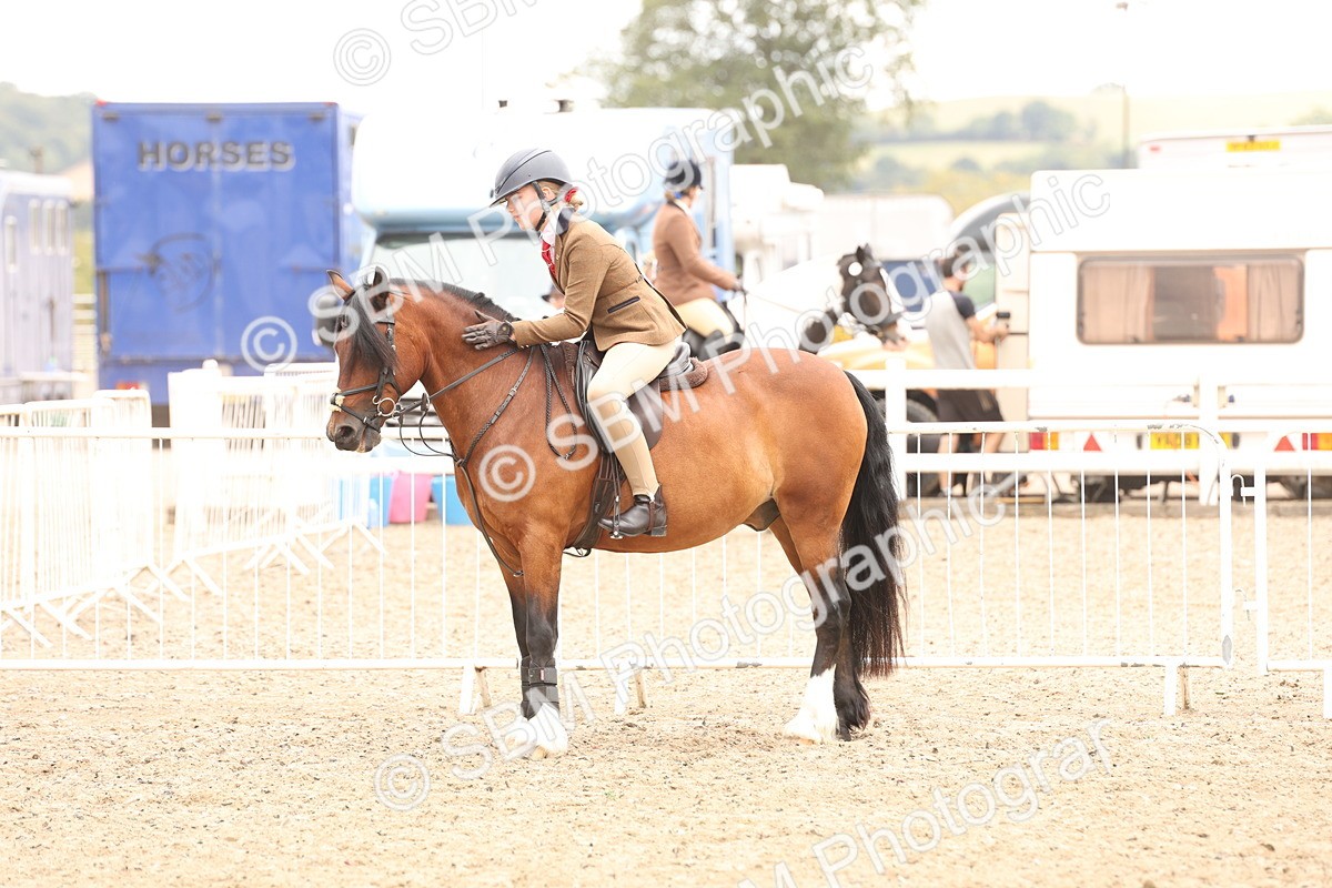 SBM_06253 - Class 57b -  Style & Performance - 60cm (20+)