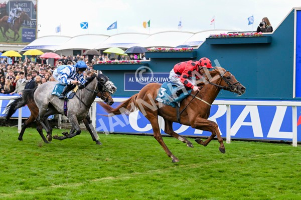 121024-Race 4-Fearless Freddy-3163 - Race 4 3.15pm Play Coral Racing-Super-Series For Free Nursery Handicap