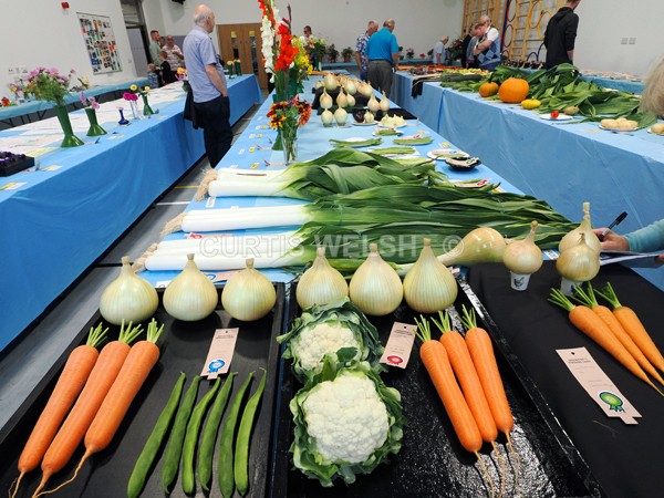 selected66 - EARLSTON FLOWER SHOW. 2025