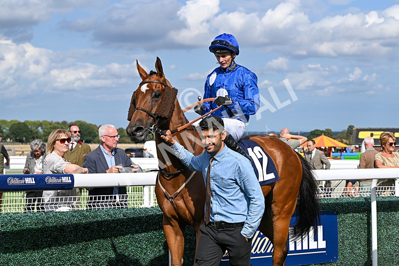 300826-Race 4-Financer-0595 - Race 4 3.20pm Ward Homes Yorkshire Handicap