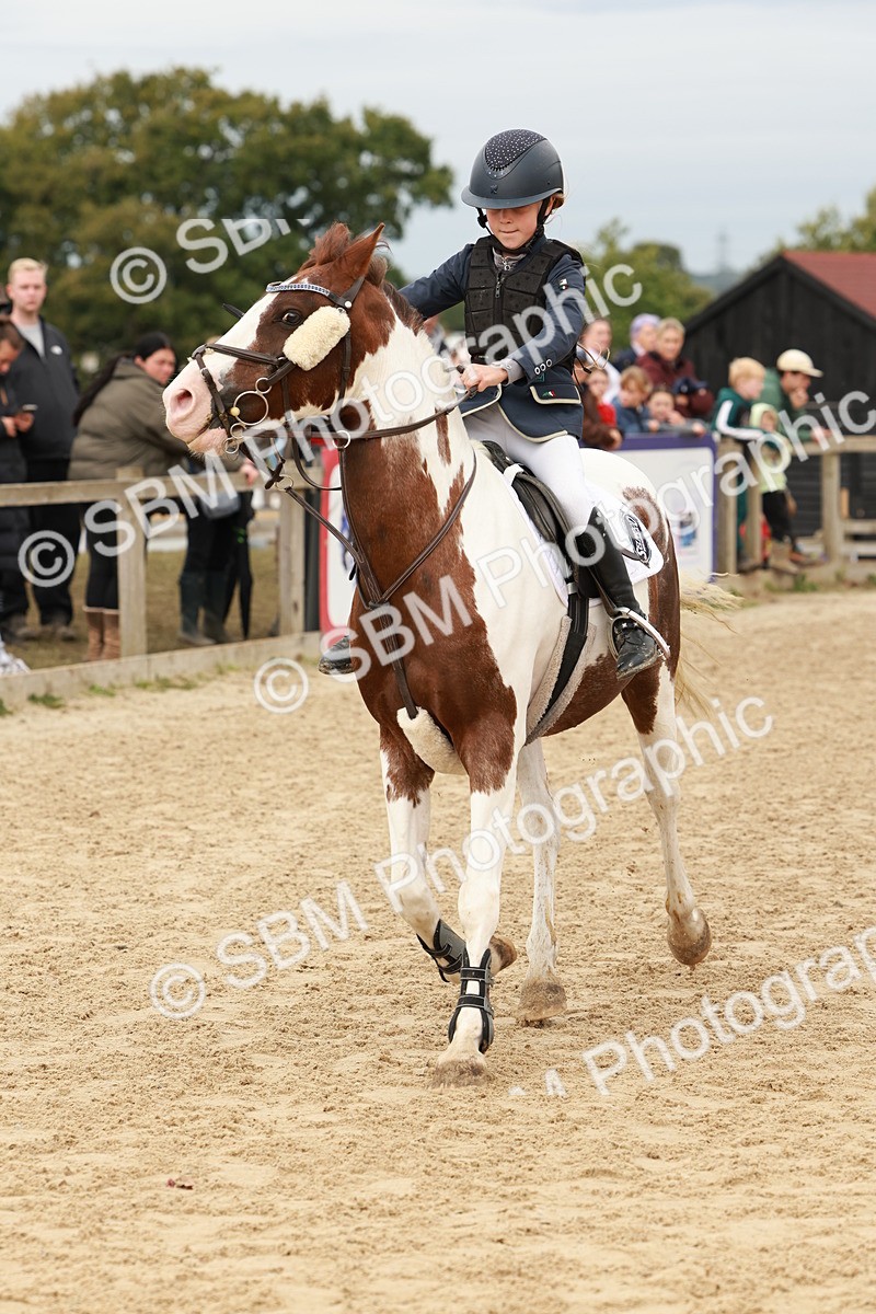 SBM_66866 - J13 - Junior Pony 60cm Championship