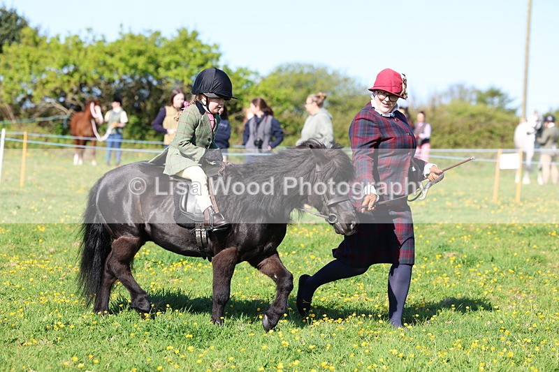 3E7A8778 - Class 2: Lead rein