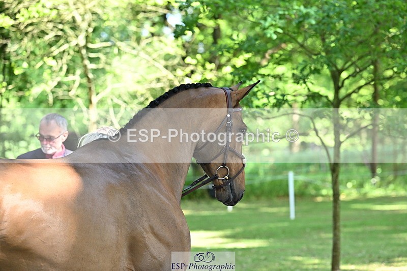 250521A-154642-00755 - B-364-Yasmin.Ingham-KINDA.CORVETTE