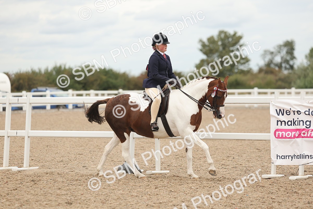 SBM_19131 - Class 316 - Best Pony-Rider Combination