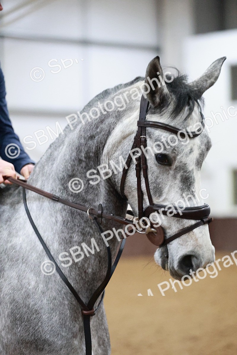 SBM_004416 - Class 17 - Senior Newcomers - 1.10m