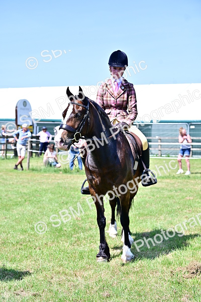 SBM_15310 - Class 95-97 - BSPS LHS Performance Ponies
