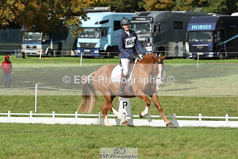 251024A-135009-12680 - H-654-Philippa.Skelton