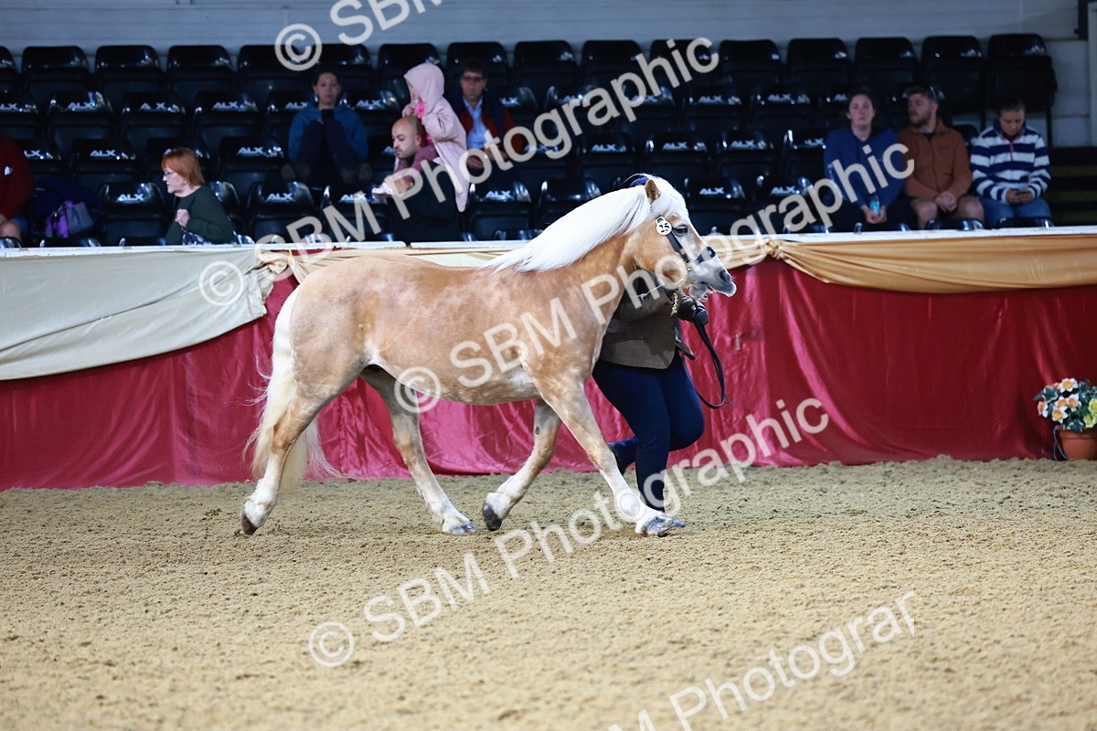 SBM_21710 - Class 901 - Supreme Final - IH  Diamond