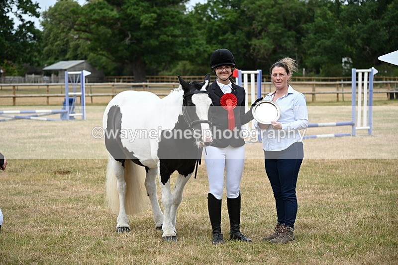 WJ6_4449 - Class 10 Coloured In-hand