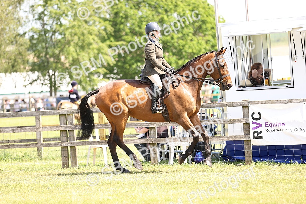 SBM_14862 - Class 78 - LIHS BSHA Open Racehorse & Show Horse