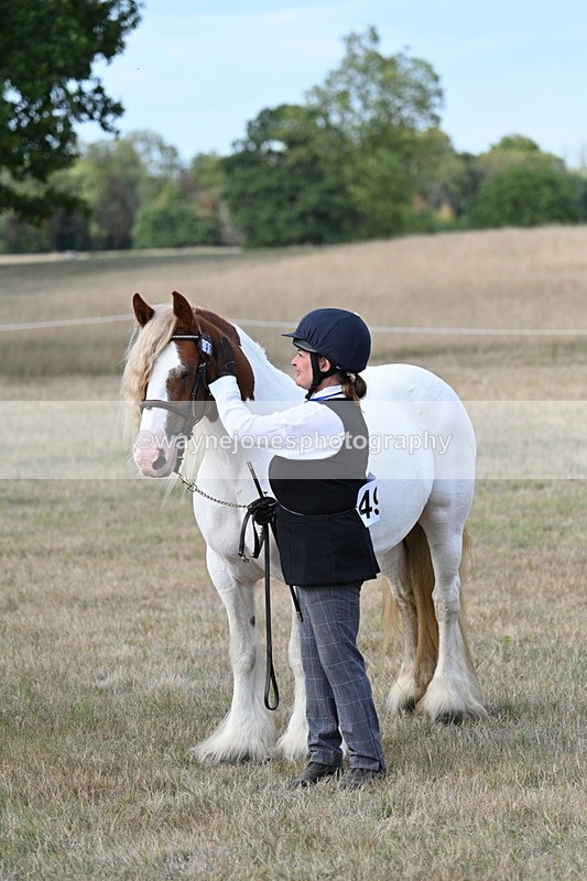 WJ7_8341 - In-hand Championship