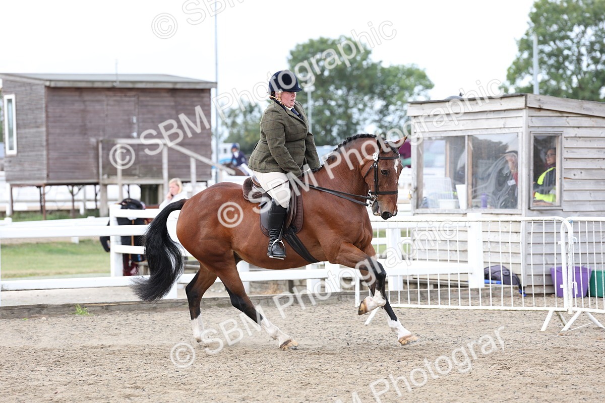 SBM_01488 - Class 52 - Ridden Veteran