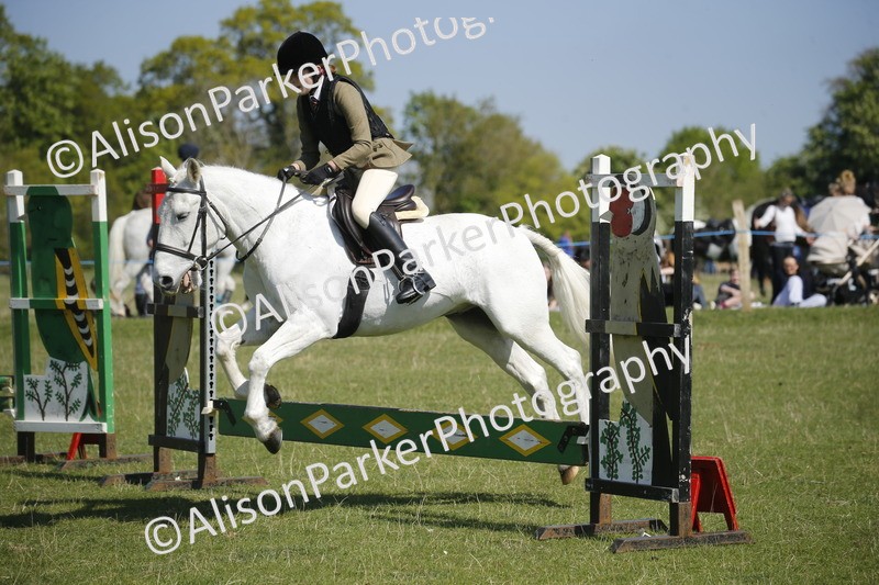 20250427-2106 - Class 13 - Novice Jumping 60cm