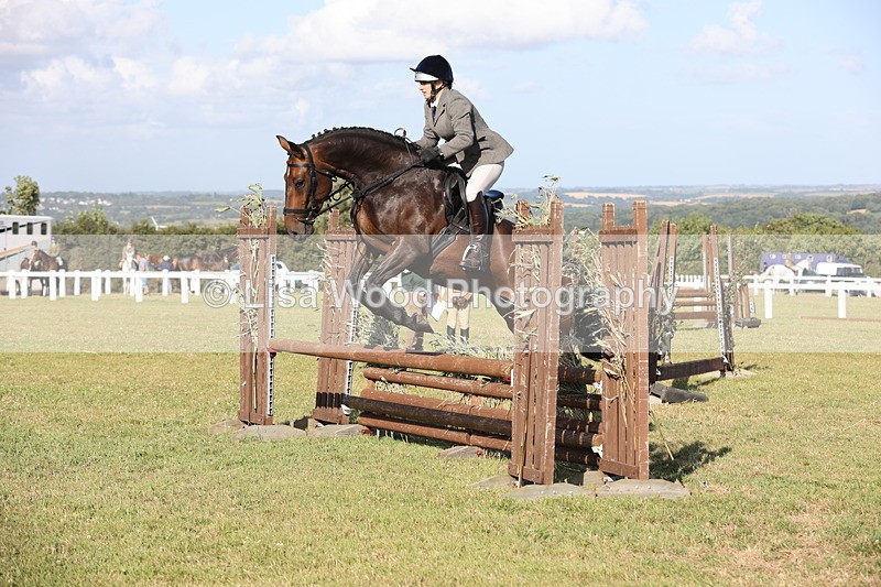 JPP_3109 - Class 21: Working Hunter 80cm