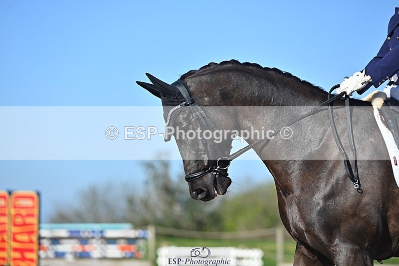 250406-093759-11944 - 023-Davy Harvey-Diamond Blue
