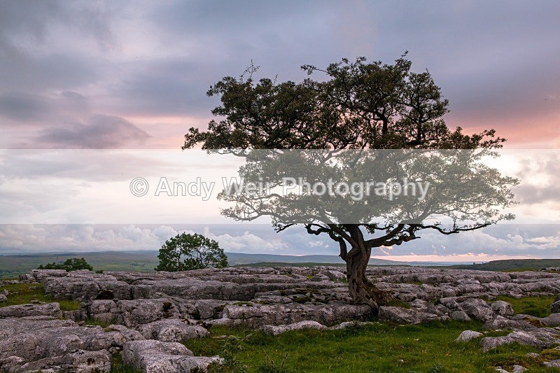 20120630-_MG_9136 - England