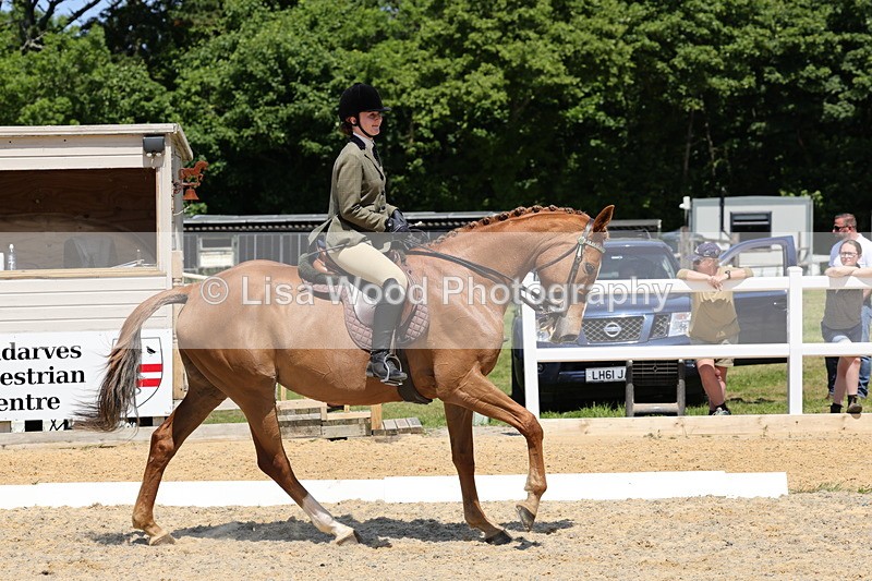1X9A1839 - Class 12: Ridden Riding Horse/Hack