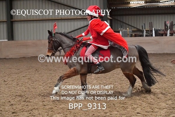 BPP_9313 - CLASS 5 60CM Progressive Show Jumping