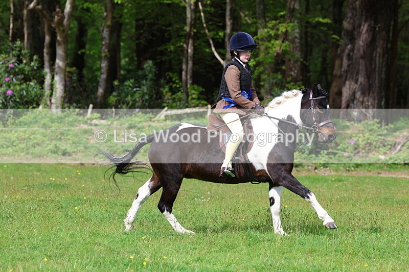 3E7A2720 - Working Hunter Championship