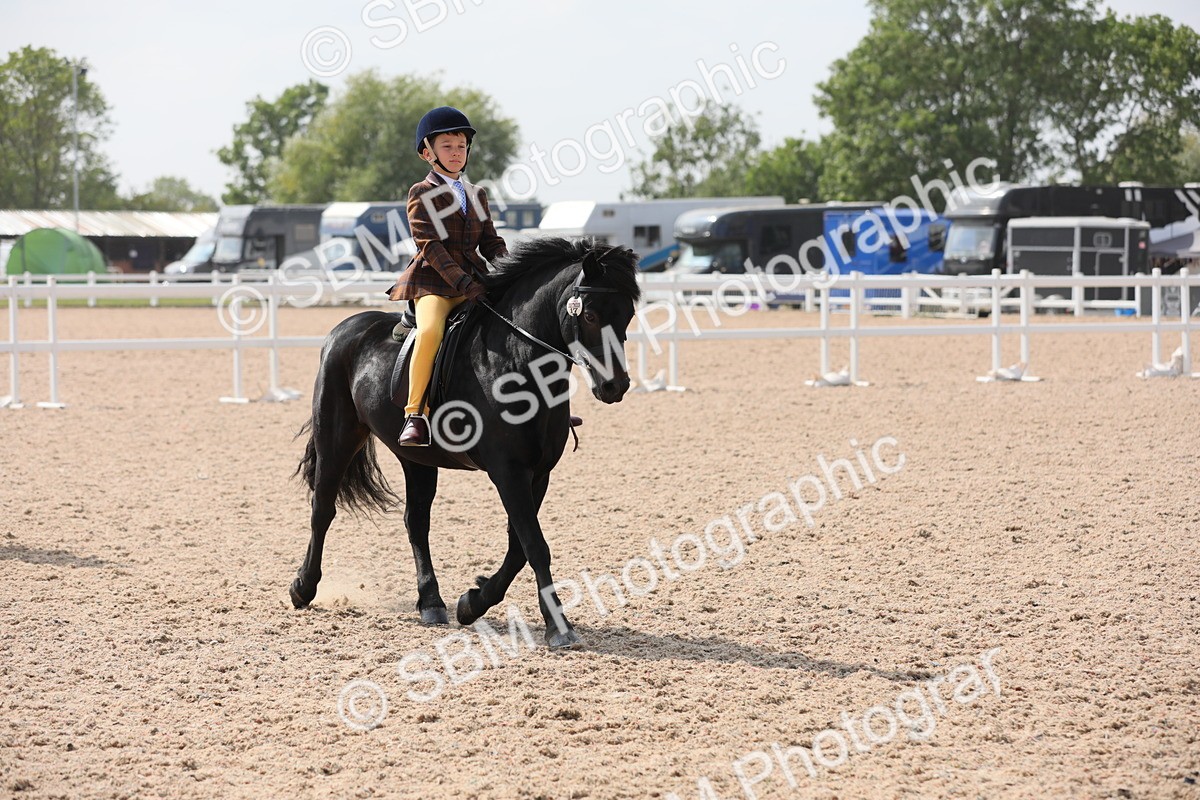 SBM_14713 - Class 310 First Ridden Pony