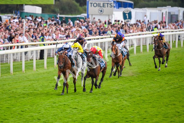 290723-Race 5-Baez-0806 - Race 5 4.35pm Sky Bet Prize Drop Handicap