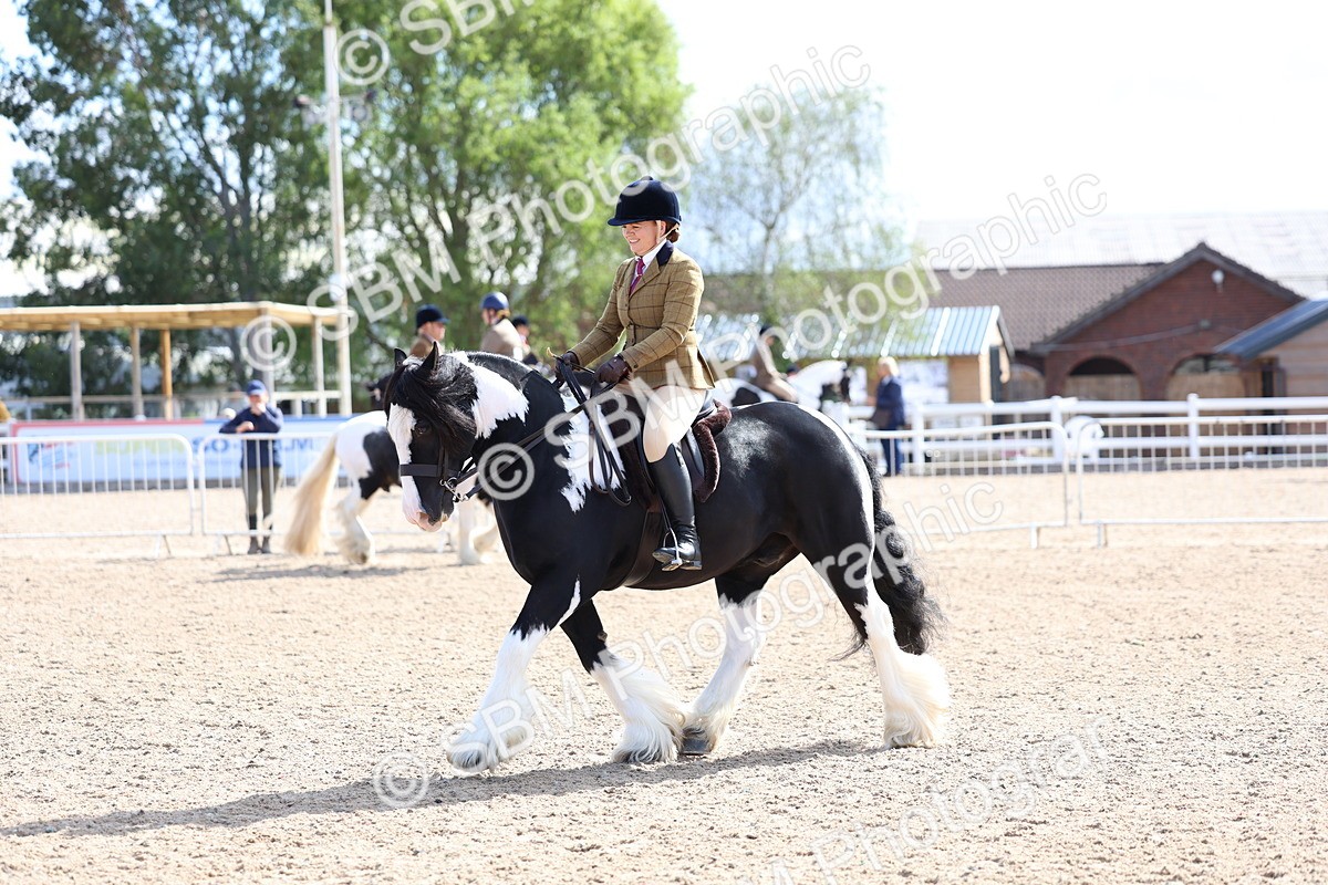 SBM_11374 - Class 307 - Ridden Coloured Pony