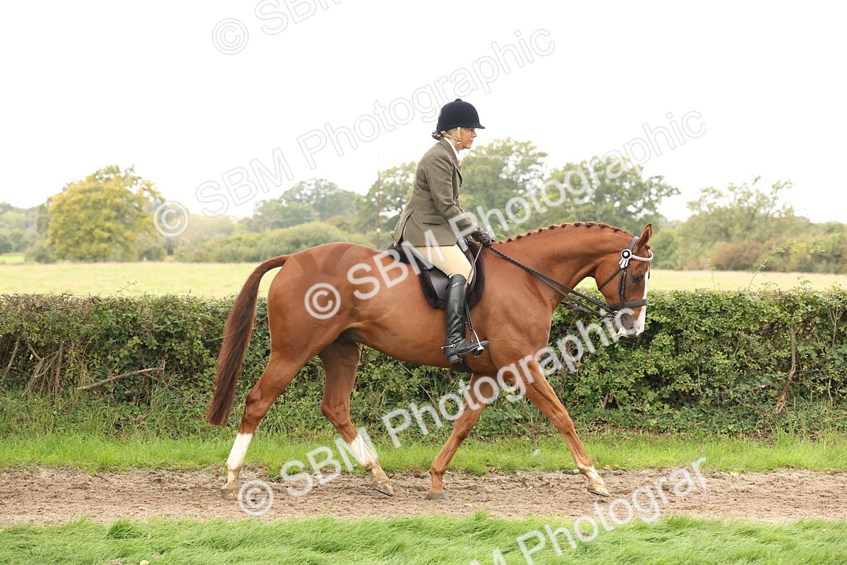 SBM_64185 - S65 - Riding Horse & Hack & Thoroughbred Ridden