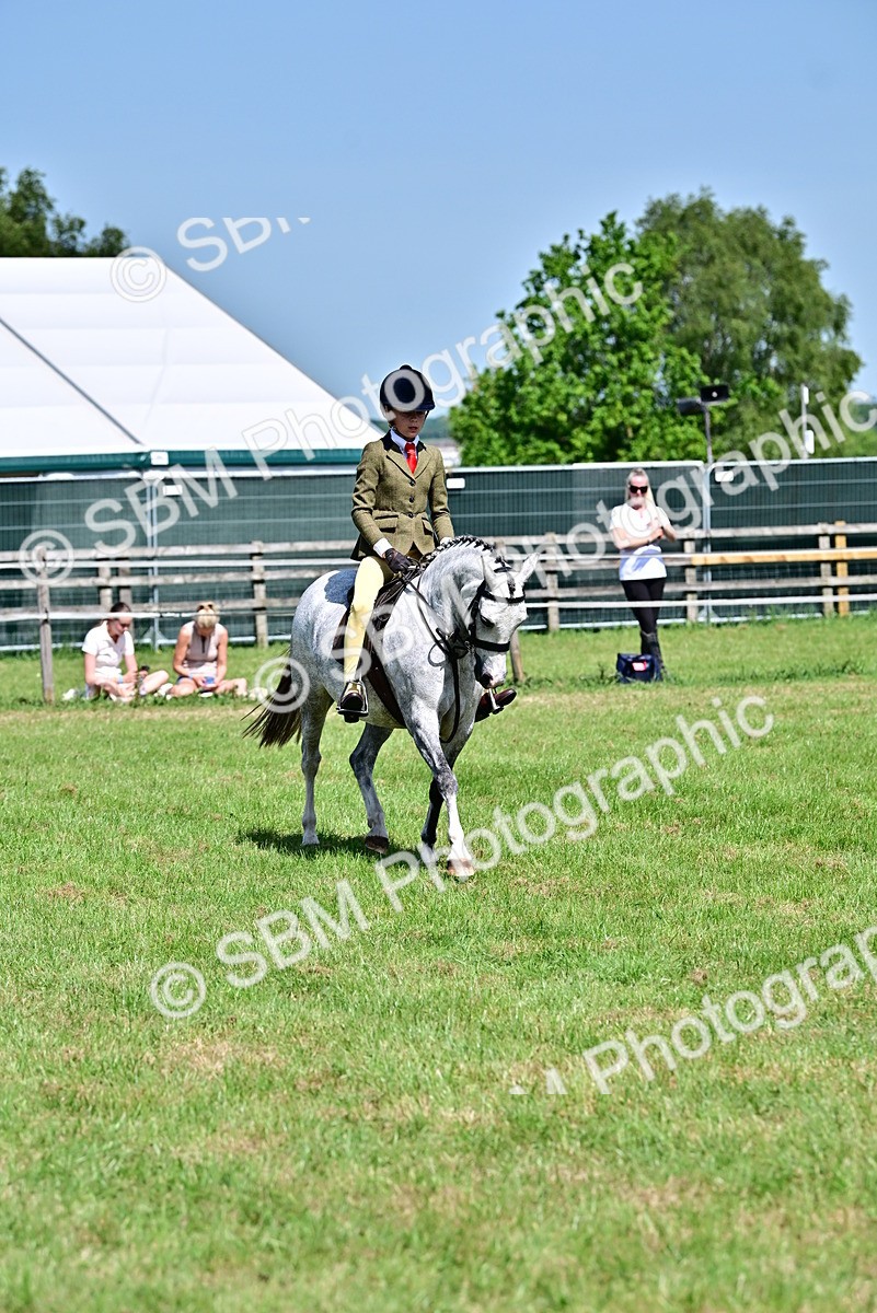 SBM_13934 - Class 95-97 - BSPS LHS Performance Ponies