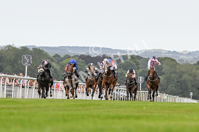 140824-Race 7-Willolarupi-3900 - Race 7