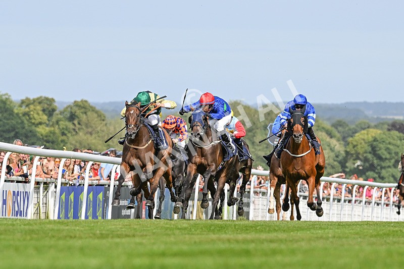 140824-Race 4-Queens Road Revue-3661 - Race 4