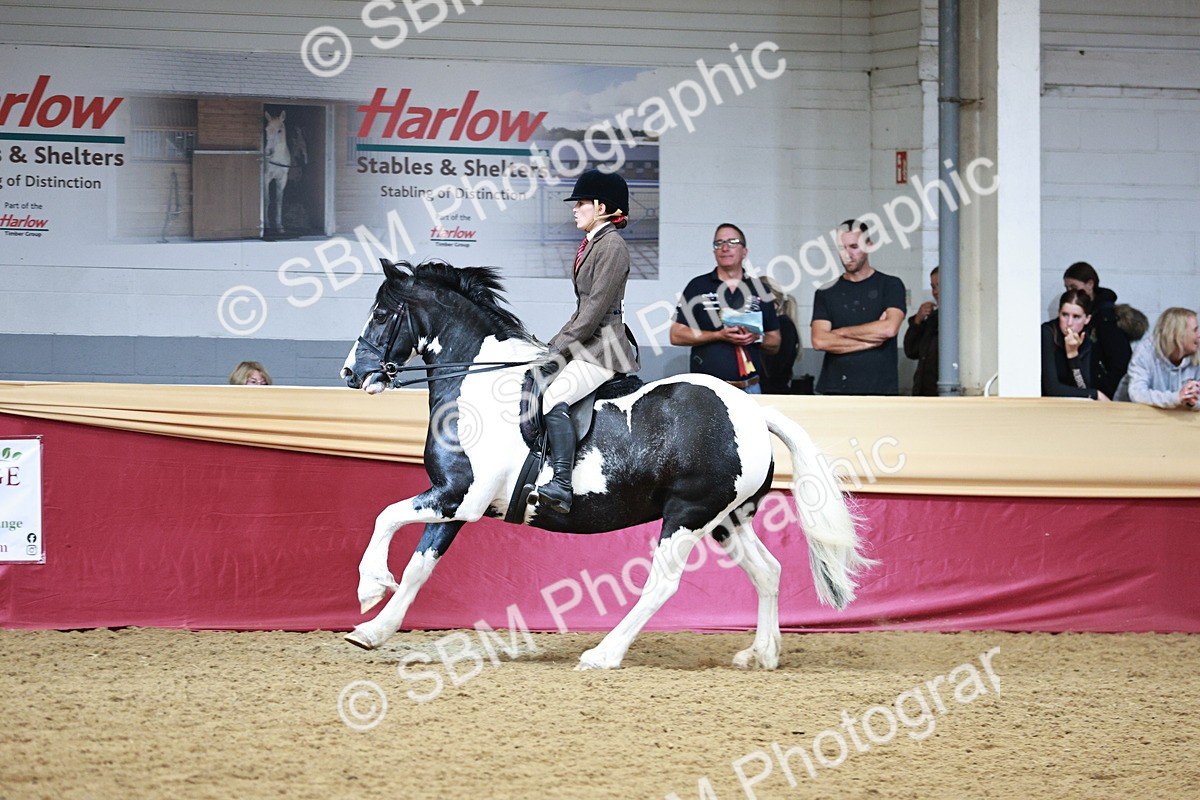 SBM_03662 - Class 6A Area Ridden Pre-Vet